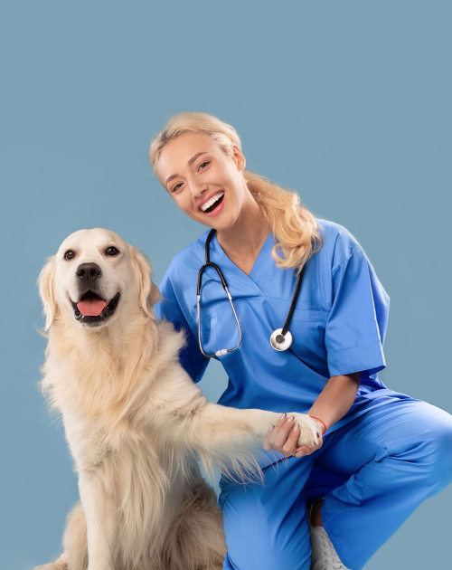 banner06.jpg